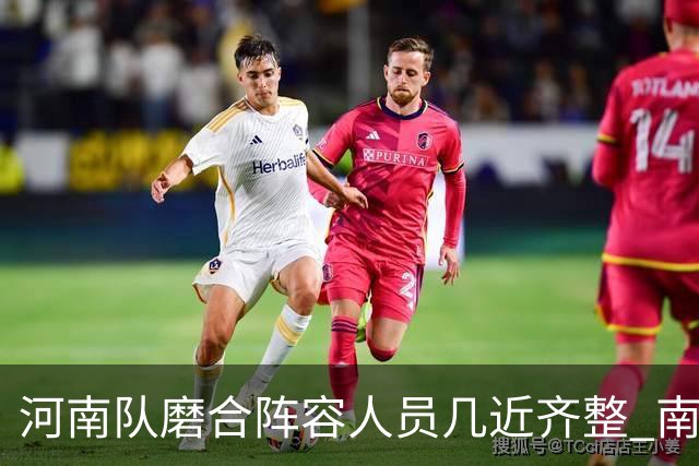 河南队磨合阵容人员几近齐整 南基一剑指中超前六